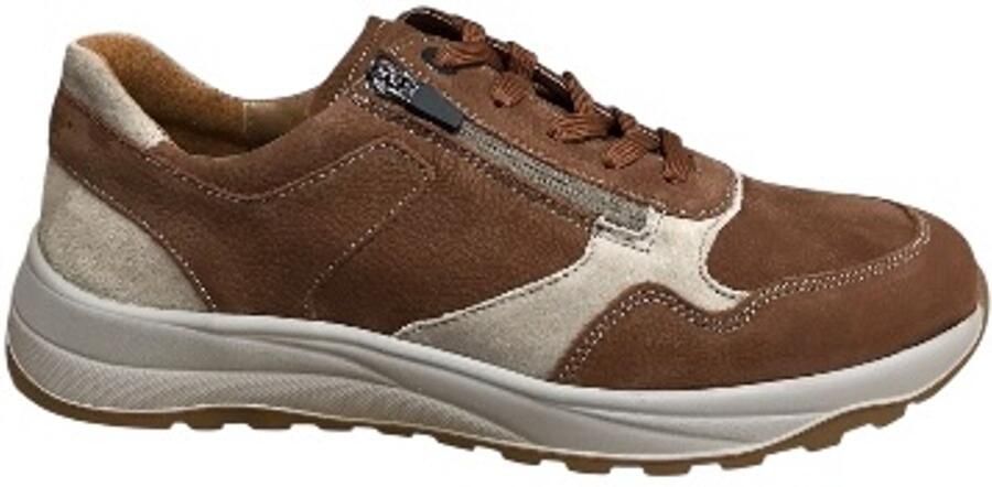 Wäldlaufer Waldläufer