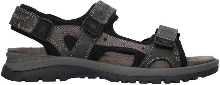 Wäldlaufer WALDLAUFER 746001 H