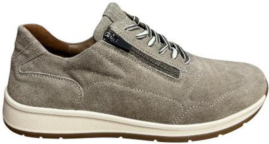 Wäldlaufer Waldläufer