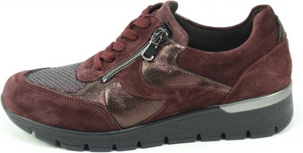 Wäldlaufer Waldlaufer K-Ramona 626K04