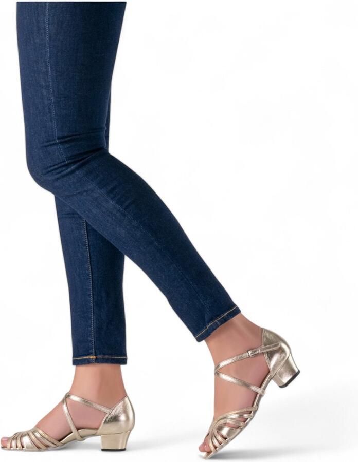 Comfortabele Dames Dansschoenen Kim met lage stabiele hak Suède zool Nikkelvrije drukknoopsluiting Kalfsleer Salsa Latin Social Werner Kern Zilver Platinagrijs