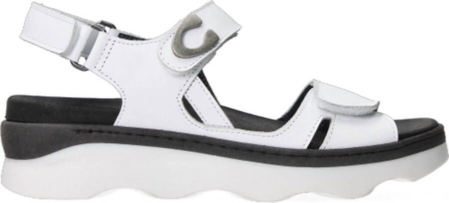 Wolky Klassieke Volwassen Schoenen voor Dagelijks Gebruik