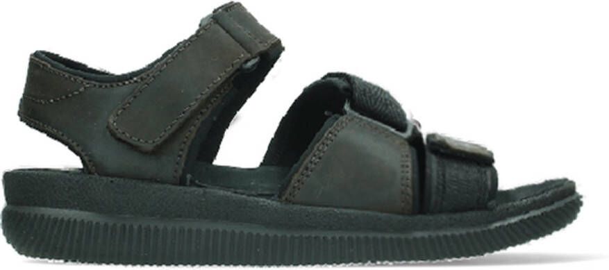 Wolky Shoe > Heren > Sandalen Active Men bruin gevet leer