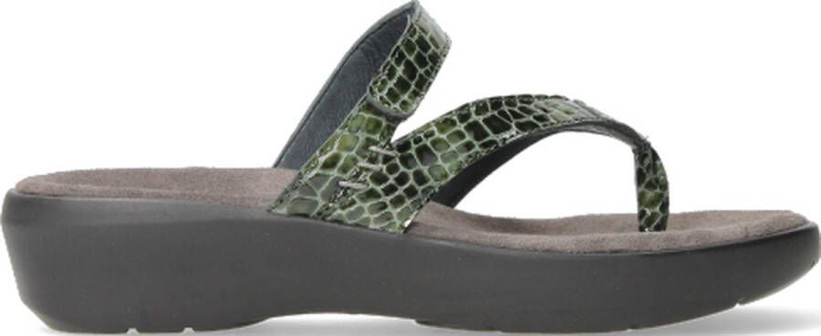 Wolky Slippers Bassa groen crocolook lakleer