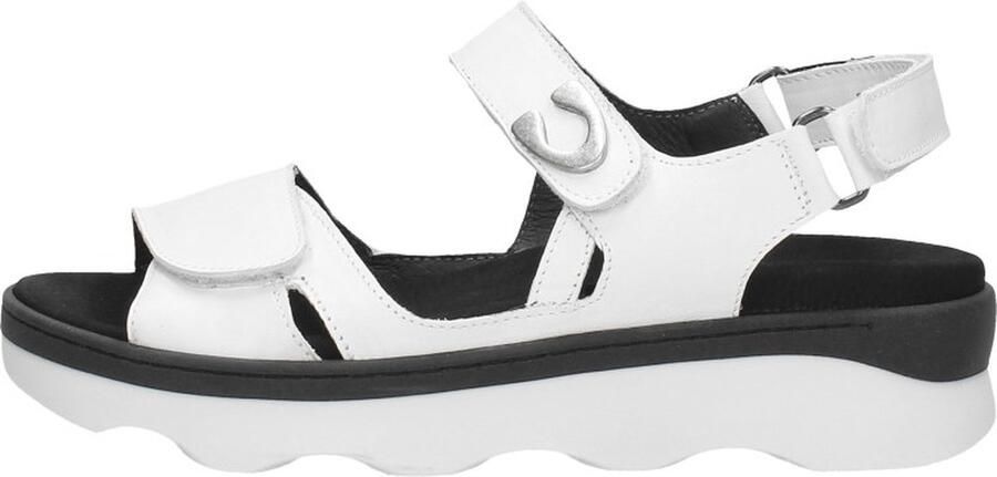 Wolky Klassieke Volwassen Schoenen voor Dagelijks Gebruik - Foto 13