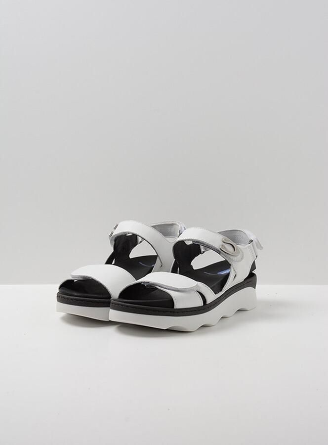 Wolky Klassieke Volwassen Schoenen voor Dagelijks Gebruik - Foto 8