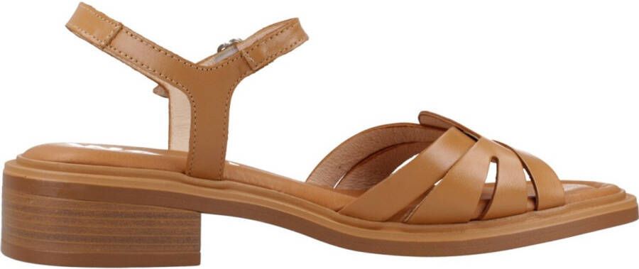 Wonders B9601 Bruin