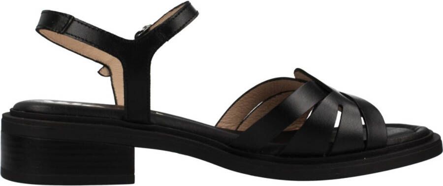 Wonders B9601 Zwart