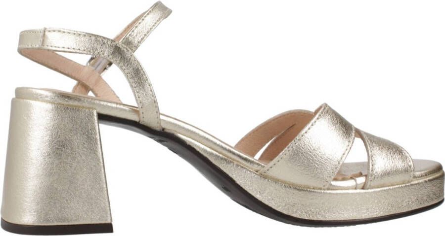 Wonders G6810 Goud