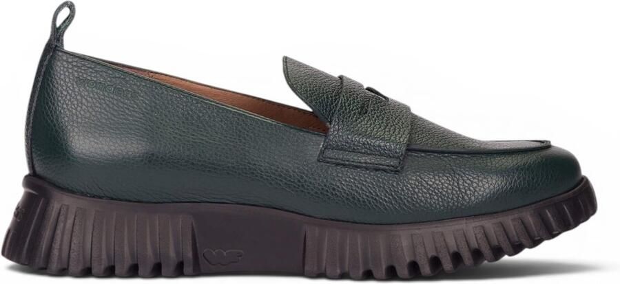 Wonders Flexfly 20 leren instappers