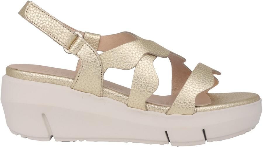 Wonders Max dames sandaal Goud