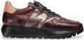 Wonders A-2491 Elvin Sneaker-Loafer - Bordeaux