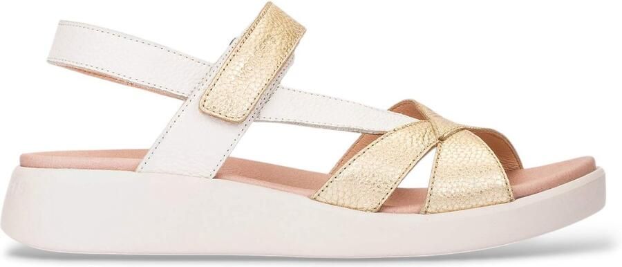 Wonders Veelkleurige gouden gekruiste sandalen