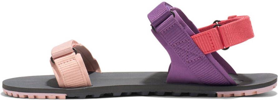 Xero Shoes Women's D-Trail Barefootschoenen dewberry multi