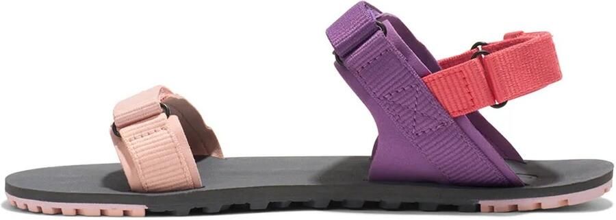 Xero Shoes Women's D-Trail Barefootschoenen dewberry multi