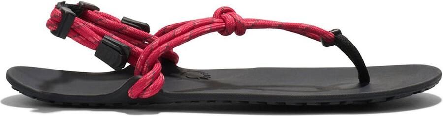 XERO SHOES Genesis Sandalen Roze 1 2 Vrouw