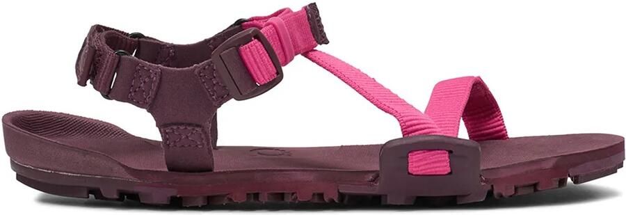 Xero Shoes Women's Z-Trail EV Barefootschoenen purper