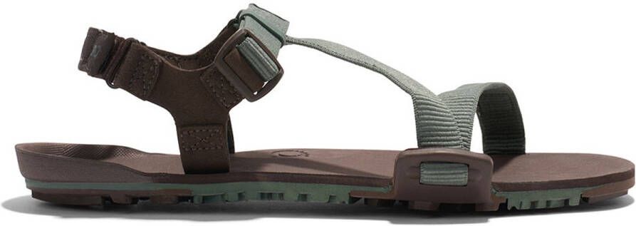 XERO SHOES Z-trail Ev Sandalen Groen Man