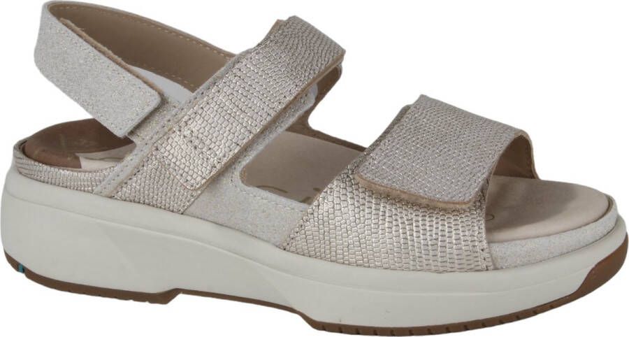 Xsensible 30700.5.491-G H dames sandalen sportief beige