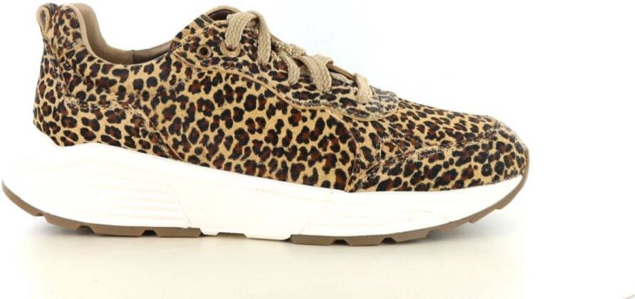 Xsensible Chain 33009.4 625 leopard multi bruin
