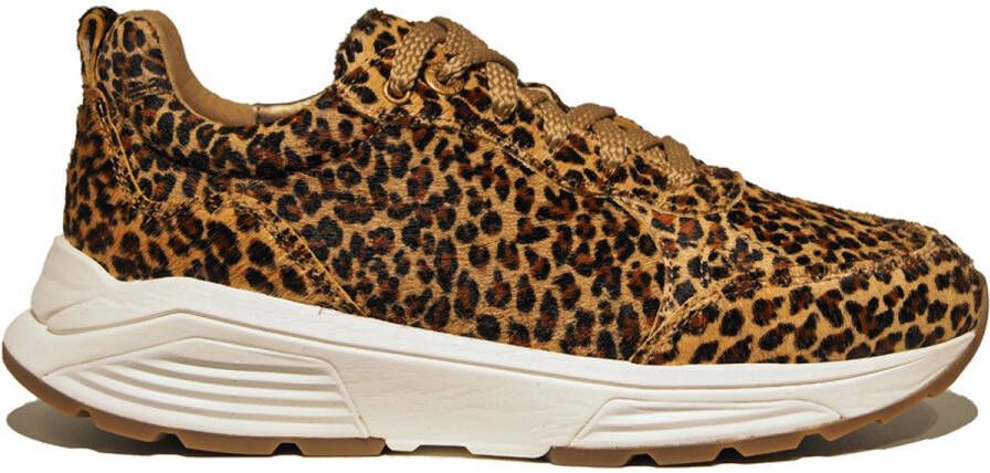 Xsensible Chain 33009.4 625 leopard multi bruin