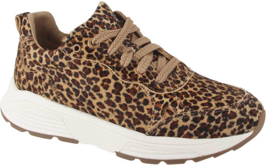 XSENSIBLE Lage Sneakers Dames Chain Maat: 37 Materiaal: Ponyhair Kleur: Bruin