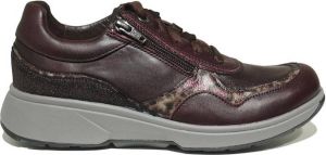 Xsensible Dames Veterschoenen Lima Burgundy Fantasy Aubergine