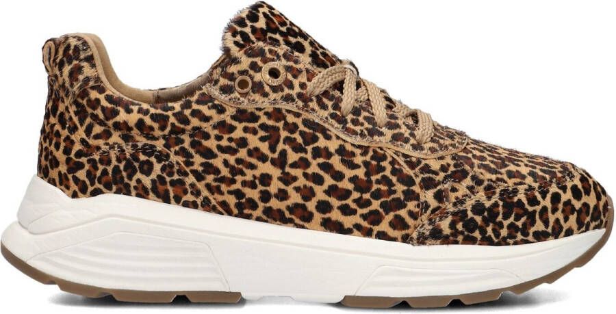 XSENSIBLE Lage Sneakers Dames Chain Maat: 41 Materiaal: Ponyhair Kleur: Bruin