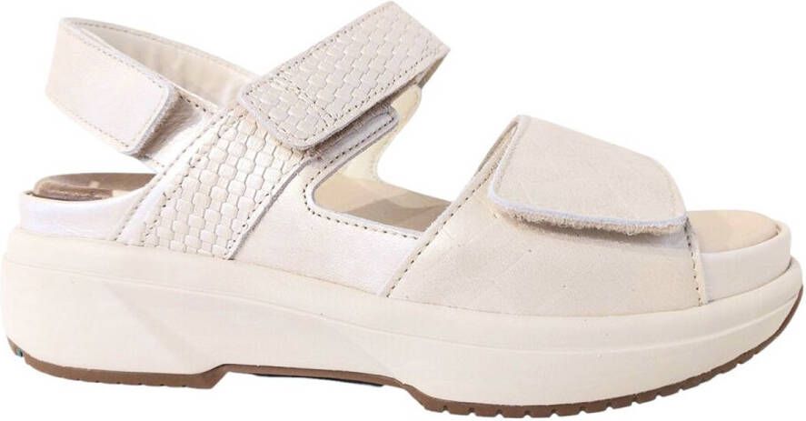 XSENSIBLE Sandalen Dames Aruba Maat: 40 Materiaal: Leer Kleur: Wit
