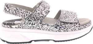Xsensible Aruba 30700.5 910 Silver Fantasy G H Wijdte Sandalen