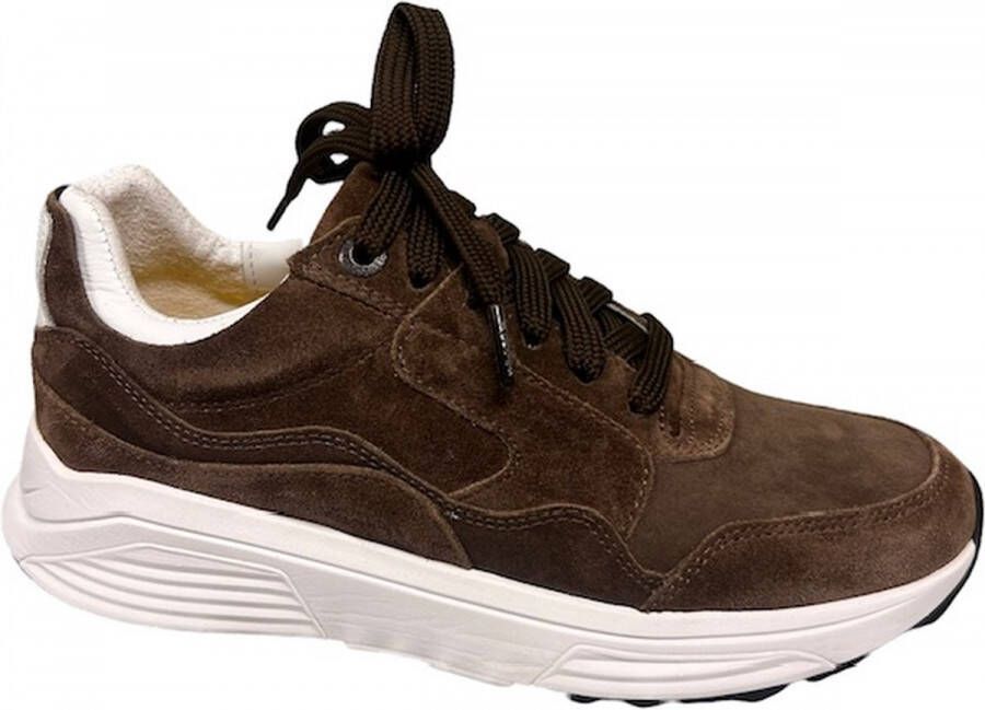 Xsensible Damesschoenen Veterschoenen Suede