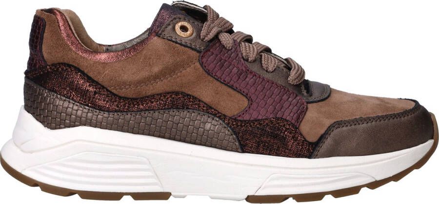 Xsensible Golden Gate Lady 33000.2 396 bronze combi Bruin