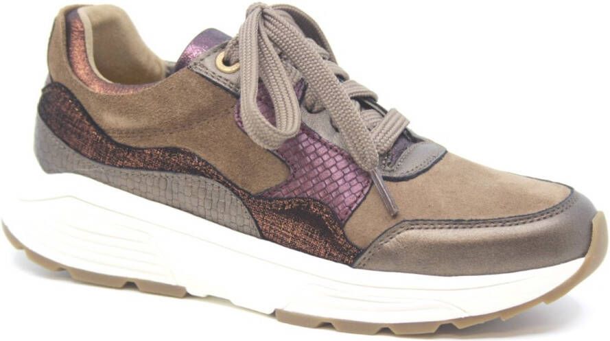 Xsensible Golden Gate Lady 33000.2 396 bronze combi Bruin