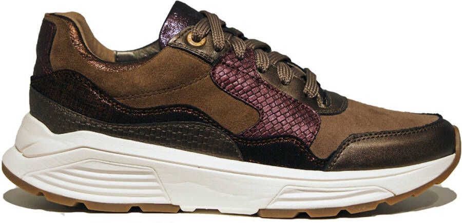 Xsensible Golden Gate Lady 33000.2 396 bronze combi Bruin