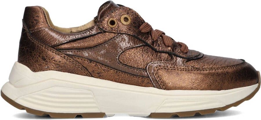 XSENSIBLE Lage Sneakers Dames Ponte Vecchio Maat: 39 Materiaal: Lakleer Kleur: Bronskleurig
