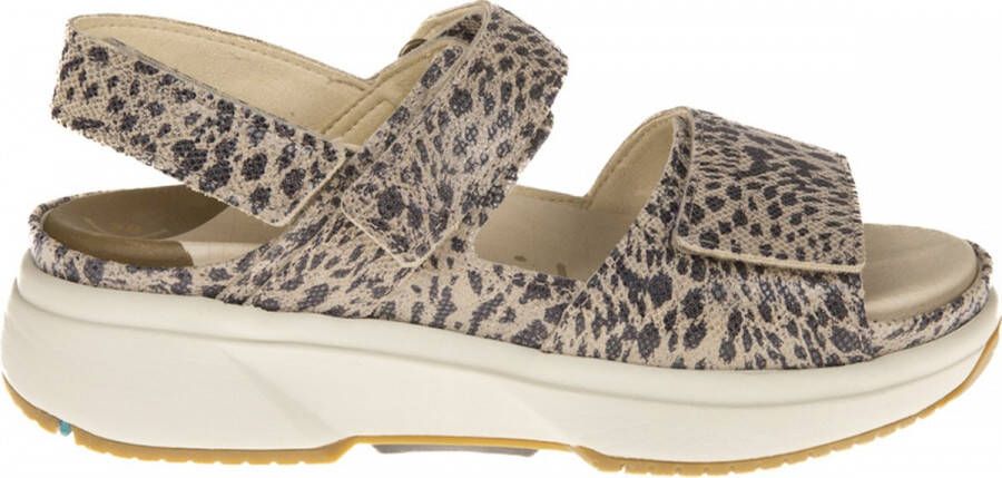 Xsensible Sandaal Aruba 30700.5.501 G H Taupe Zwart 7½