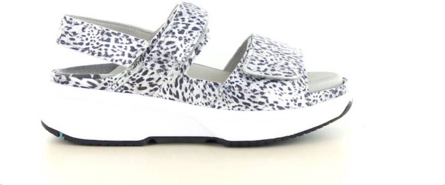 Xsensible Aruba Platte Sandalen Zilver Leer Dierenprint Gray Dames