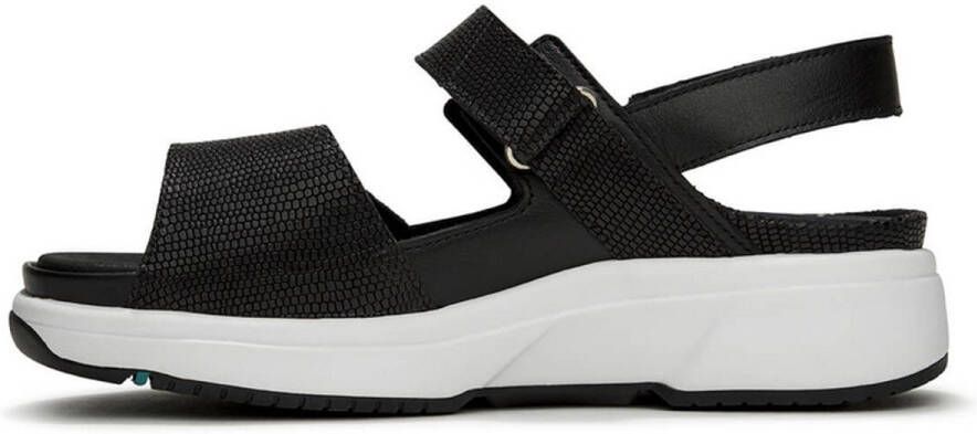 Xsensible Stretchwalker 30700.5.009 ZWART