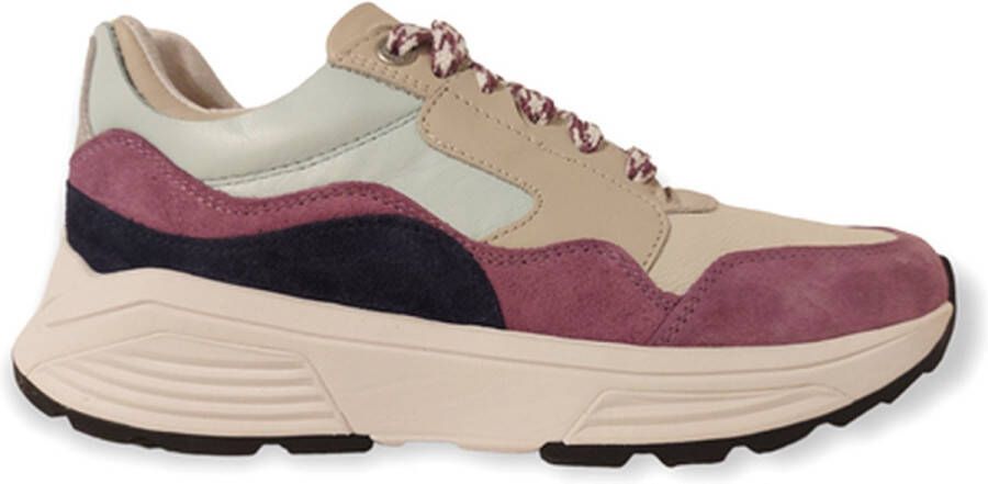 Xsensible Comfortabele en stijlvolle Golden Gate sneakers met stretch Multicolor Dames