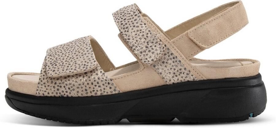 Xsensible Stretchwalker Aruba 307000.5.446 G-H