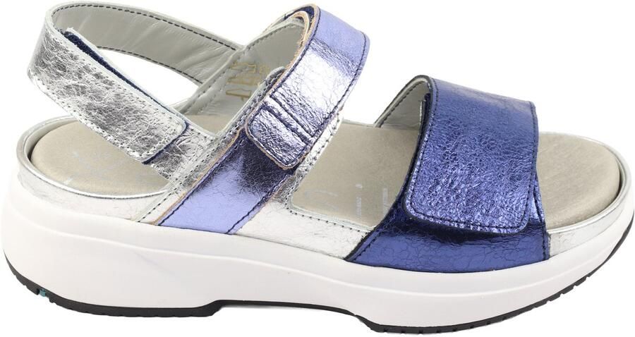 Xsensible-stretchwalker Aruba