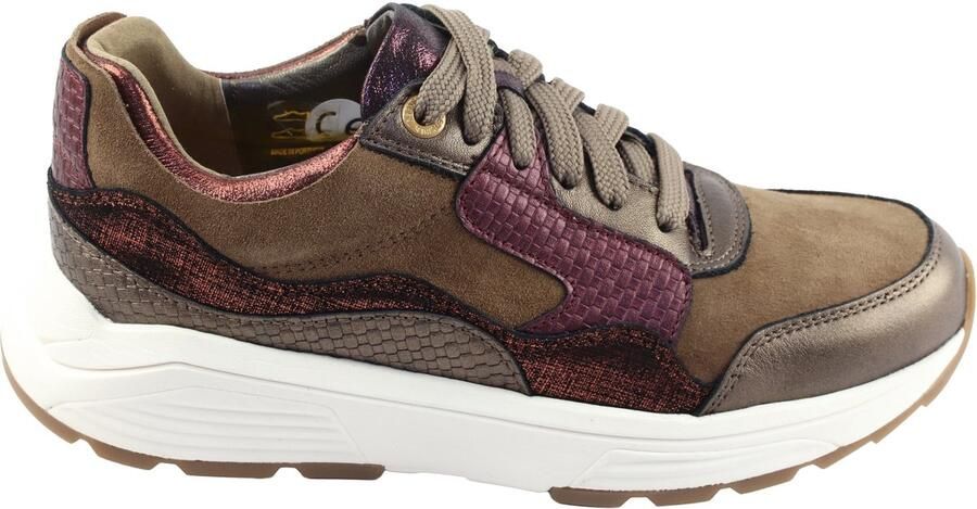 Xsensible-stretchwalker Gold.Gate Lady 33000 Sneakers bruin kombinatie