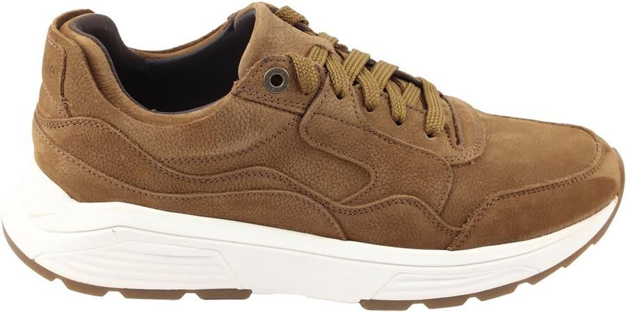 Xsensible-stretchwalker Gold.Gate Men