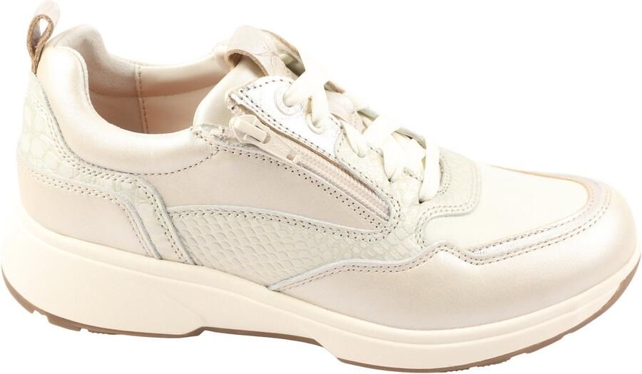 Xsensible-stretchwalker Grenoble