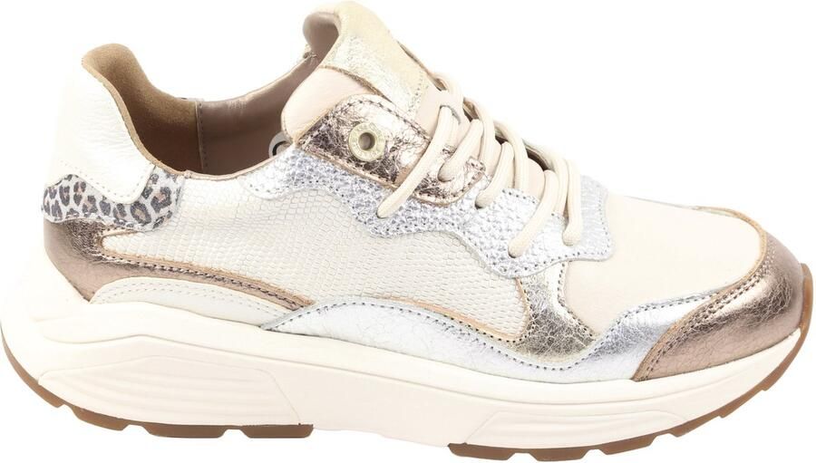 Xsensible-stretchwalker Rainbow