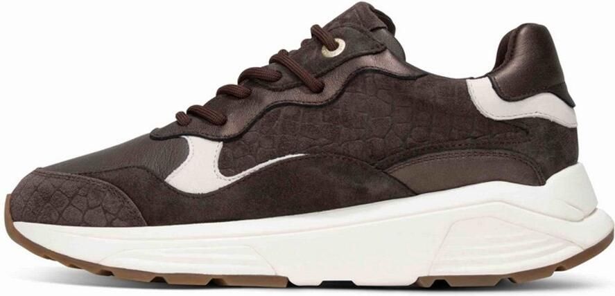 Xsensible Stretchwalker Rainbow Sneakers 33011.3.383 Bruin