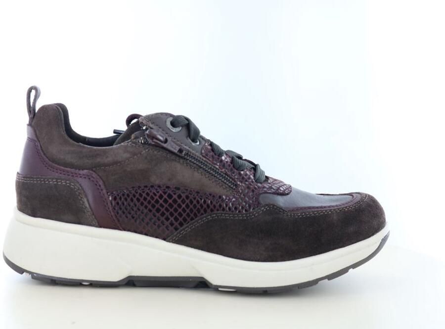 XSENSIBLE Lage Sneakers Grenoble Maat: 41 Materiaal: Suède Kleur: Bruin - Foto 2