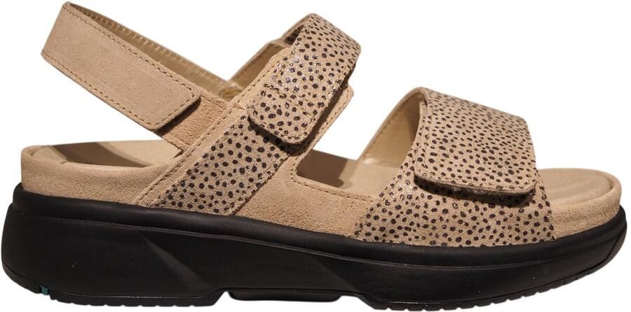 Xsensible Stretchwalker Aruba 30700.5 446 sand fantasy Beige