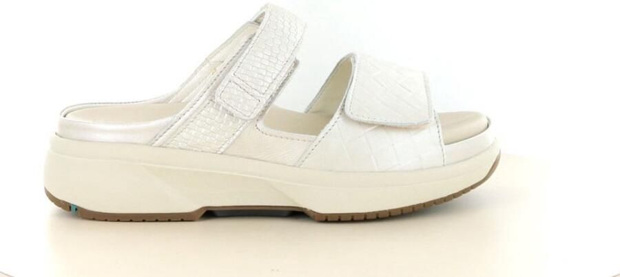 Xsensible 30709.5 wijdte H