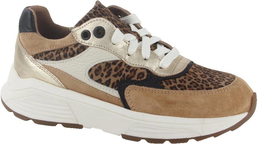 Xsensible Ponte Vecchio Stretchwalker Sneakers Dames Bruin - Foto 2